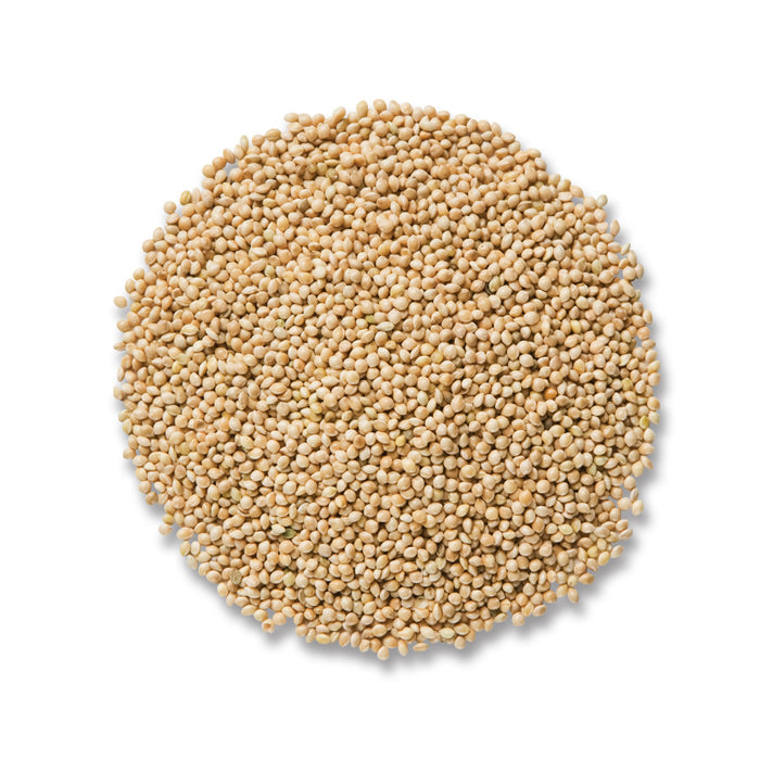 Cole's White Millet Wild Bird Seed - Premium 10 lb Bag for Attracting Finches, Sparrows & Doves - Ideal for Backyard Bird Feeders & Wildlife Gardens