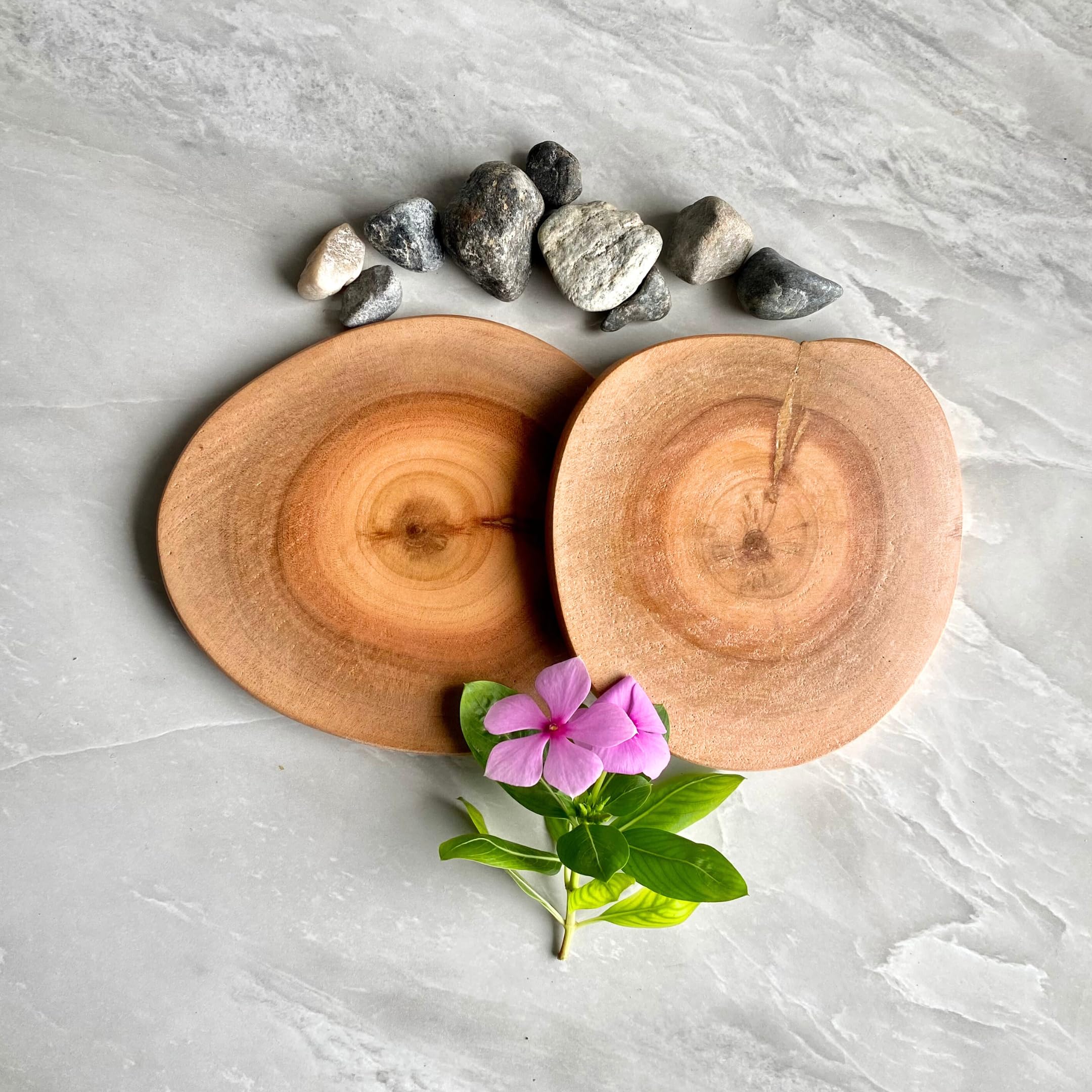 GOFURNISIA ® Set of 2 Rustic Wooden Coasters for Drinks - Natural Solid Wood Log with Finished Edge - Perfect for Dining Table, Coffee Table & Home Decor