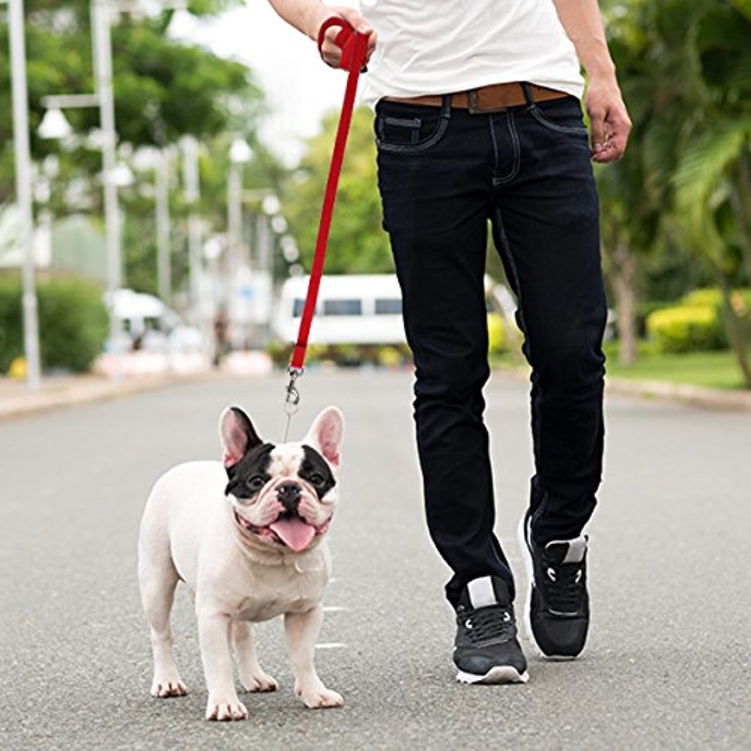 Downtown Pet Supply 100ft Long Dog Leash - Durable Nylon Training Leash for Recall & Obedience - Red Color - Perfect for Outdoor Adventures, Park Training & Hiking with Your Dog