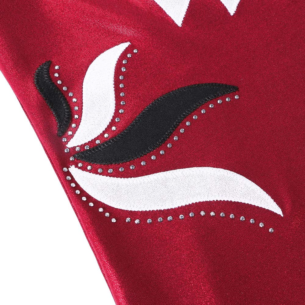 BAOHULU Girls Gymnastics Leotard - Shiny Embroidery Dance Leotards for Kids & Children - Athletic Activewear for Ballet, Gymnastics & Dance Performance