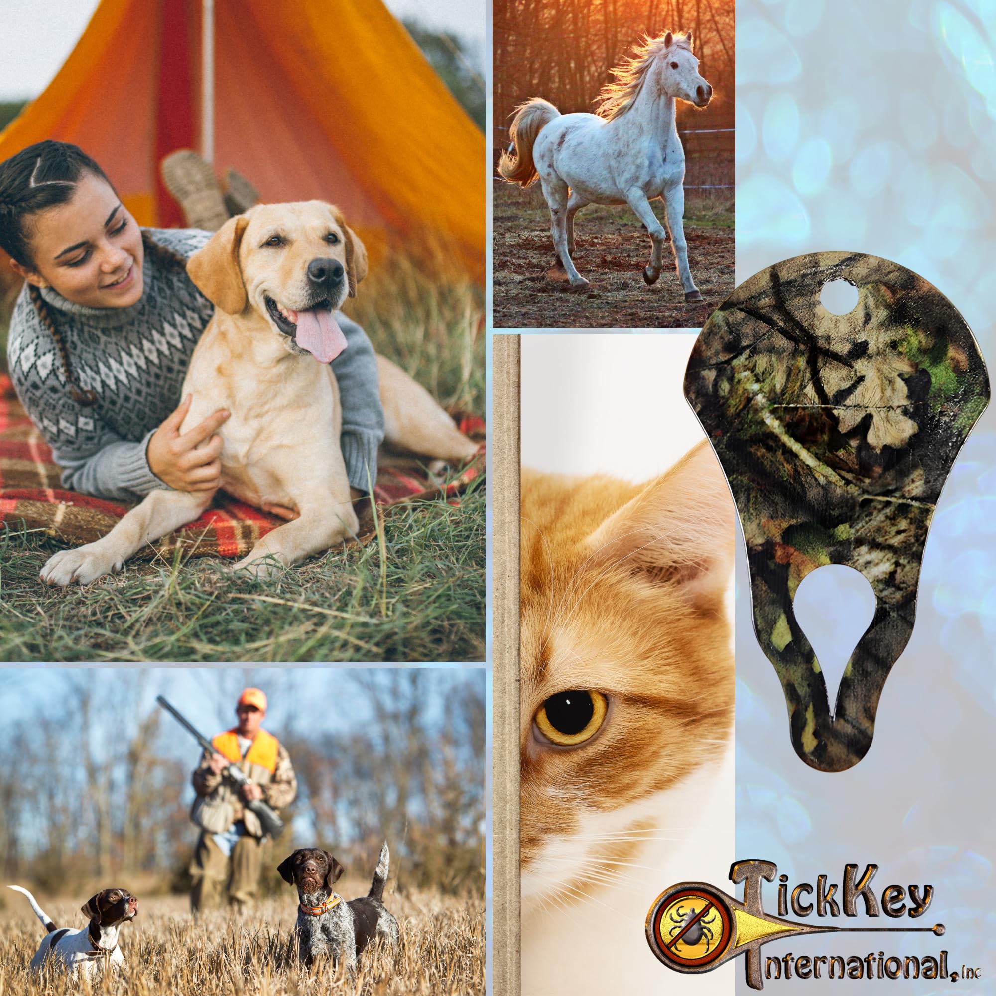 Original Tick Key - Safe Portable Tick Remover Tool for Outdoor Hiking & Camping