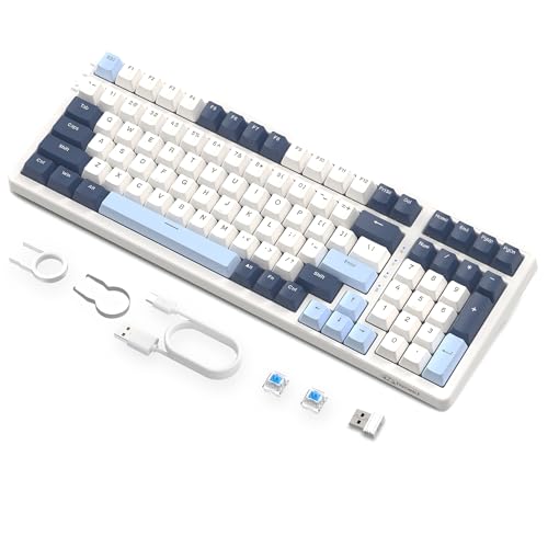 Blue/White - Blue Switch