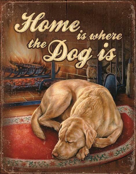 Home is Where the Dog Is - Cozy Pet Blanket for Dogs & Cats - Perfect for Cuddling, Sleeping & Travel - Soft & Warm Pet Accessories for Home, Crate & Car