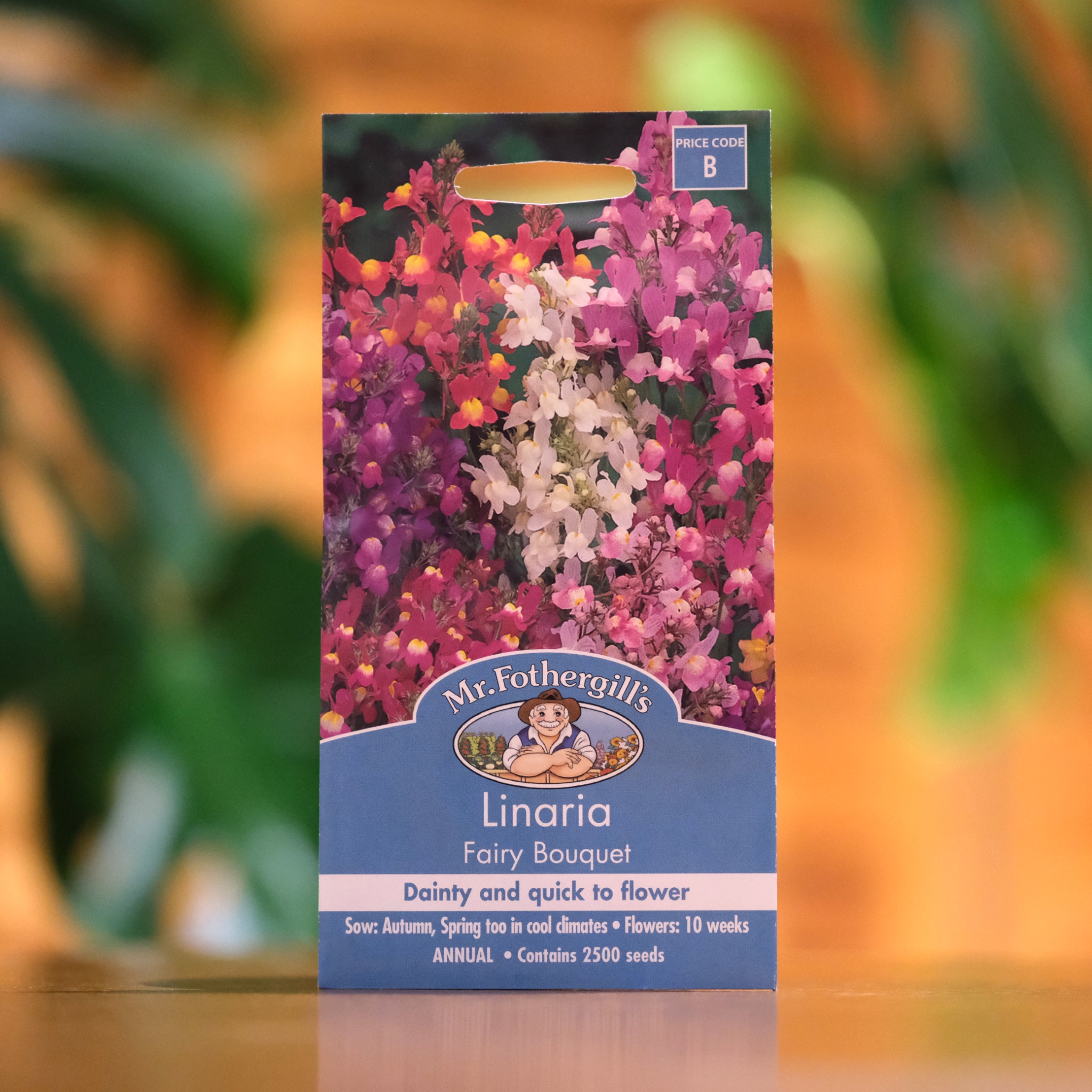 Linaria 'Fairy Bouquet' Flower Seeds - Colorful Annual Blooms for Gardens, Borders & Containers - Perfect for Cottage Gardens, Pollinator-Friendly Landscaping & Cut Flower Arrangements