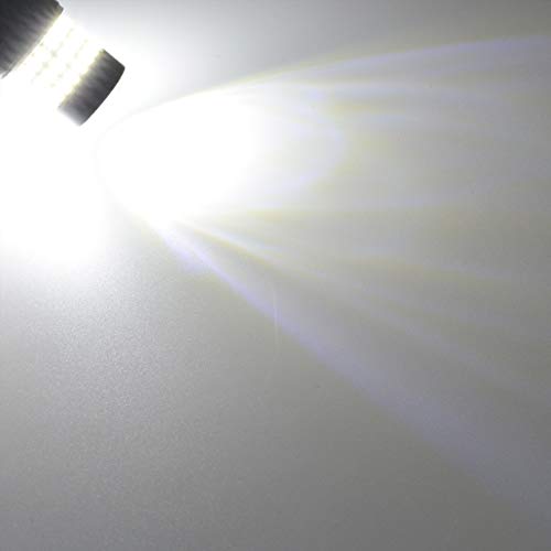 Xenon White