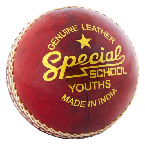 Special School Cricket Ball for Readers - Durable & Safe Practice Cricket Ball for Kids & Beginners - Perfect for School Sports, Training & Backyard Games