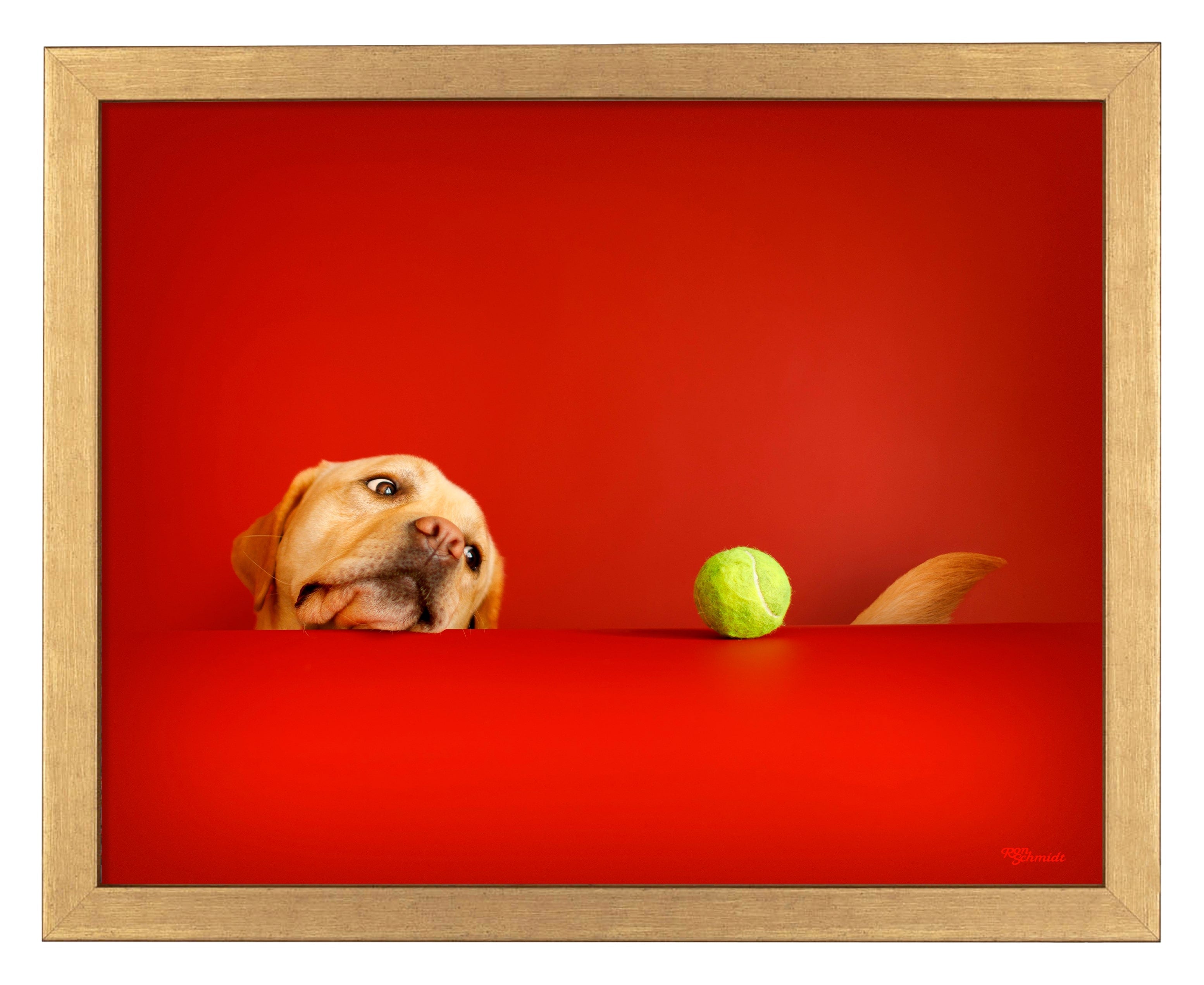 Crimson Art Prints - High-Quality Wall Decor for Home & Office | Perfect for Living Room, Bedroom & Gifts