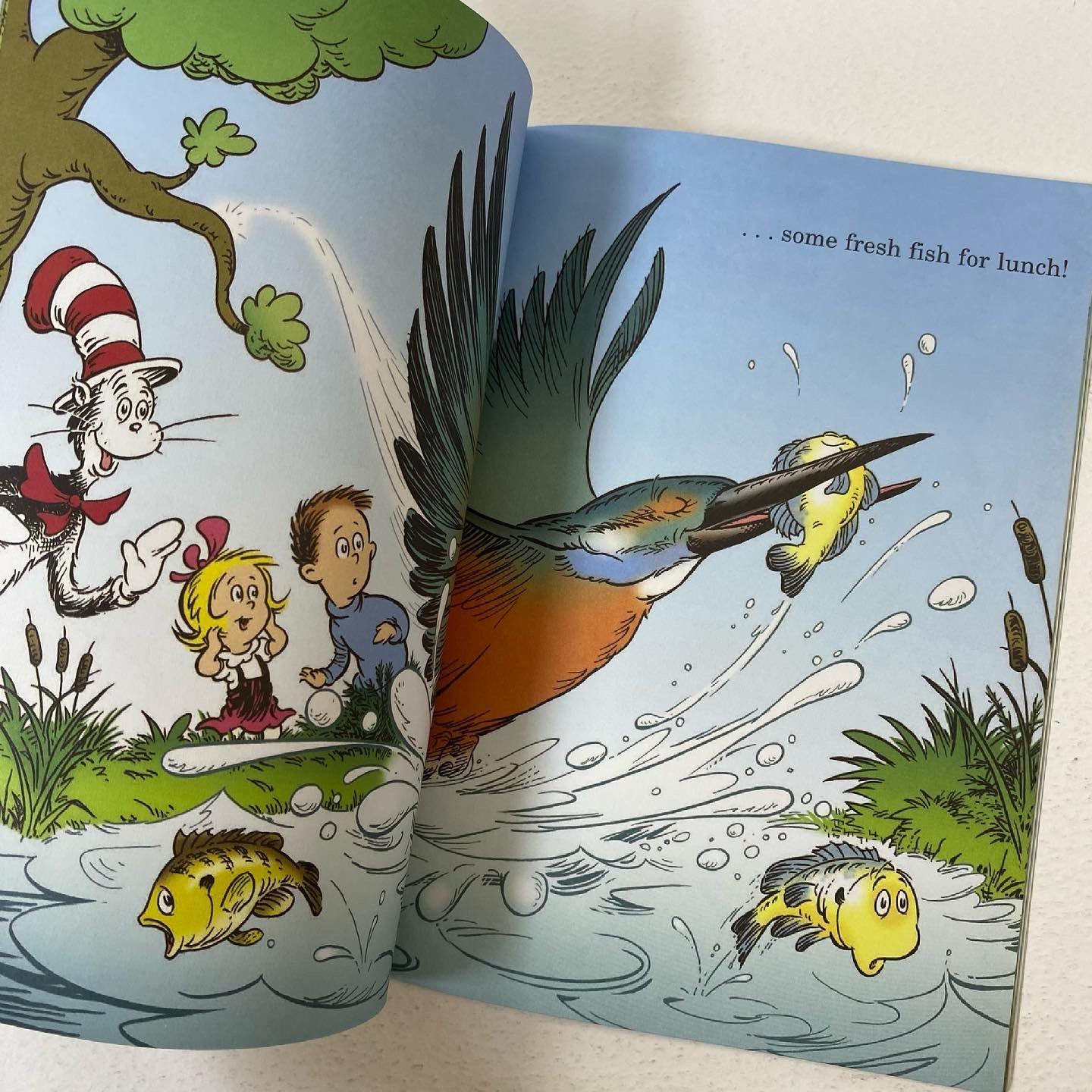 Would You Rather Be a Tadpole? - Cat in the Hat Learning Library Book for Kids | Fun Educational Reading for Preschool & Kindergarten Classroom