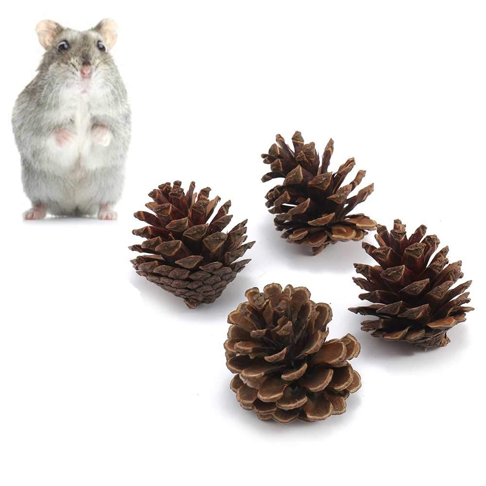 21PCS Natural Wooden Hamster Chew Toys Set - Teeth Care & Exercise Toys for Guinea Pigs, Rabbits, Syrian Rats, Chinchillas, Gerbils - Small Pet Dental Health & Play Accessories for Cage Enrichment