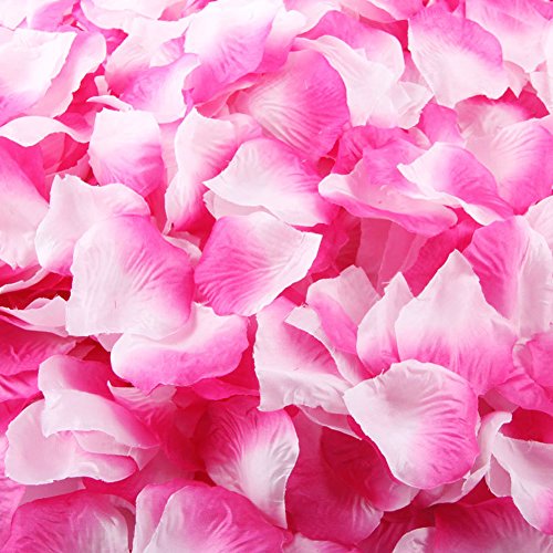 Fuchsia White