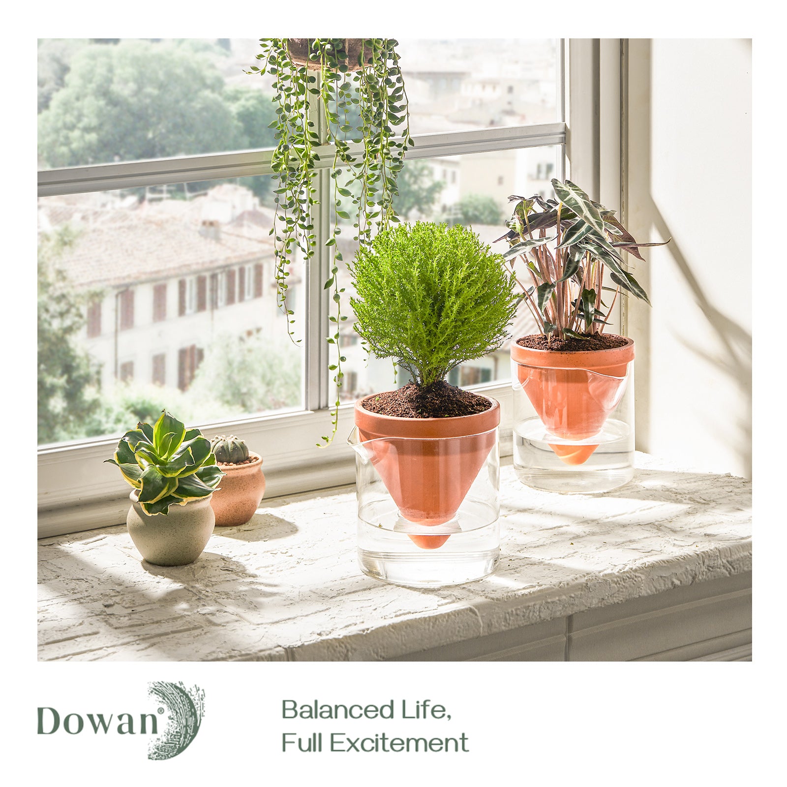 Self Watering Plant Pots for Indoor & Outdoor Plants - Automatic Watering System for Home, Office, Garden - Perfect for Succulents, Herbs, Flowers - Low Maintenance & Stylish Design