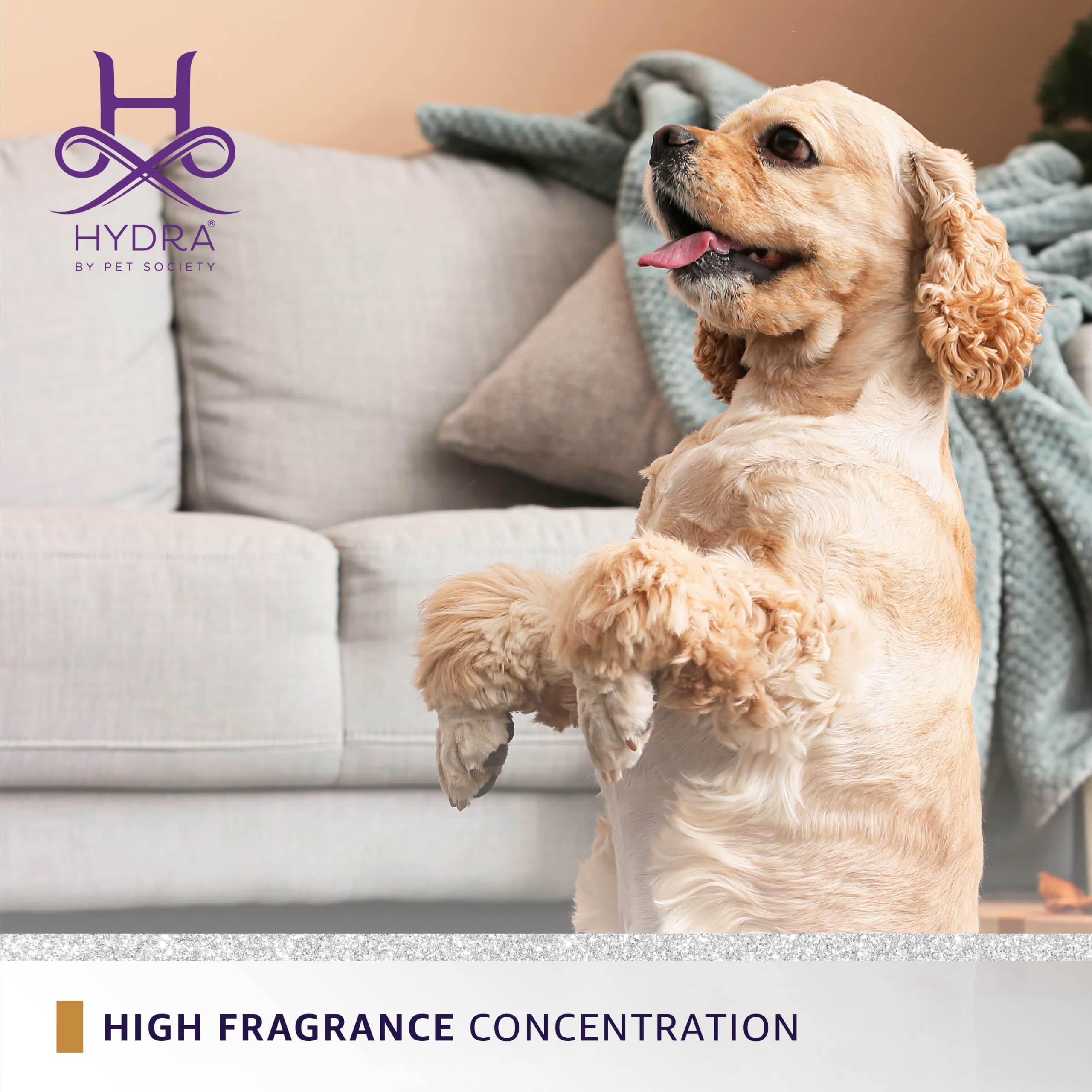 Hydra Forever VIP Pet Cologne for Dogs & Cats - Grooming & Finishing Spray, 4.4 oz | Freshen Fur Between Baths, Perfect for Show Prep & Daily Use