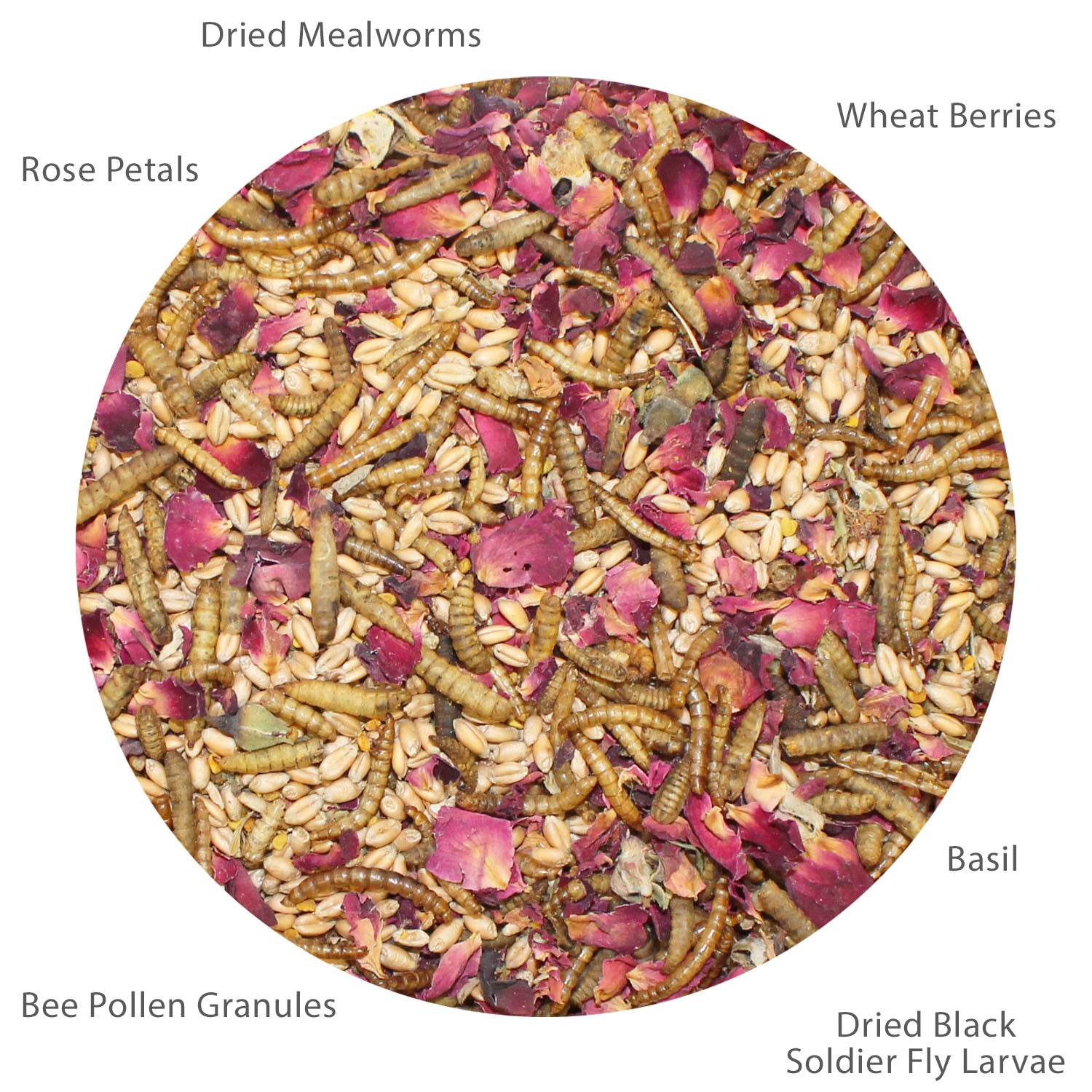 Organic Bee Pollen Chicken Treats for Backyard Hens - Healthy Poultry Snack for Egg Laying & Feather Health - Perfect for Coop Training & Flock Bonding