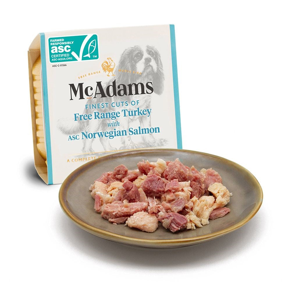 Premium Free Range Turkey & Wild Salmon Wet Dog Food - Grain-Free, High-Protein Recipe for Puppies & Adult Dogs - Perfect for Sensitive Stomachs & Picky Eaters - Ideal for Mealtime, Training Rewards & Travel Feeding