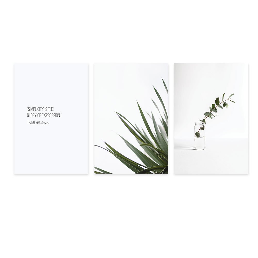 Minimalist 3-Panel Botanical Wall Art Set - 24x36 Inch White Background Plant Prints with Inspirational Quotes - Perfect for Living Room, Bedroom & Office Decor