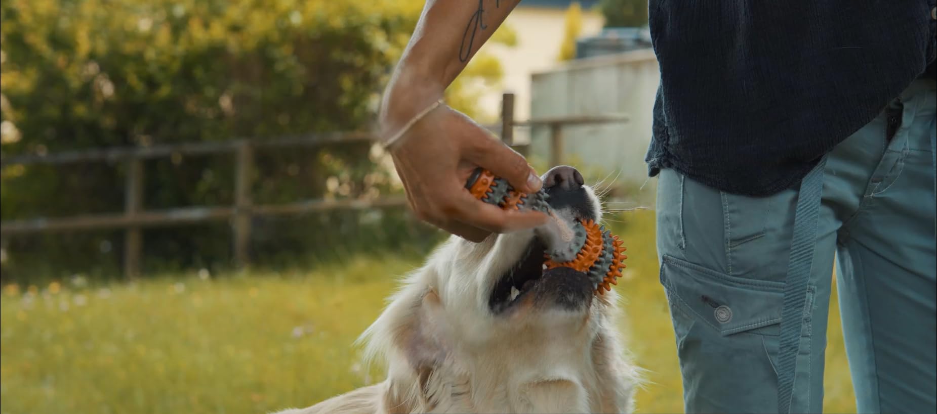 Durable Rubber Chew Toy for Dogs - Teeth Cleaning & Teething Relief - Interactive Pet Chewing Toy for Puppy Teething, Dental Health, and Boredom Relief - Perfect for Indoor Play, Training, and Anxiety Relief