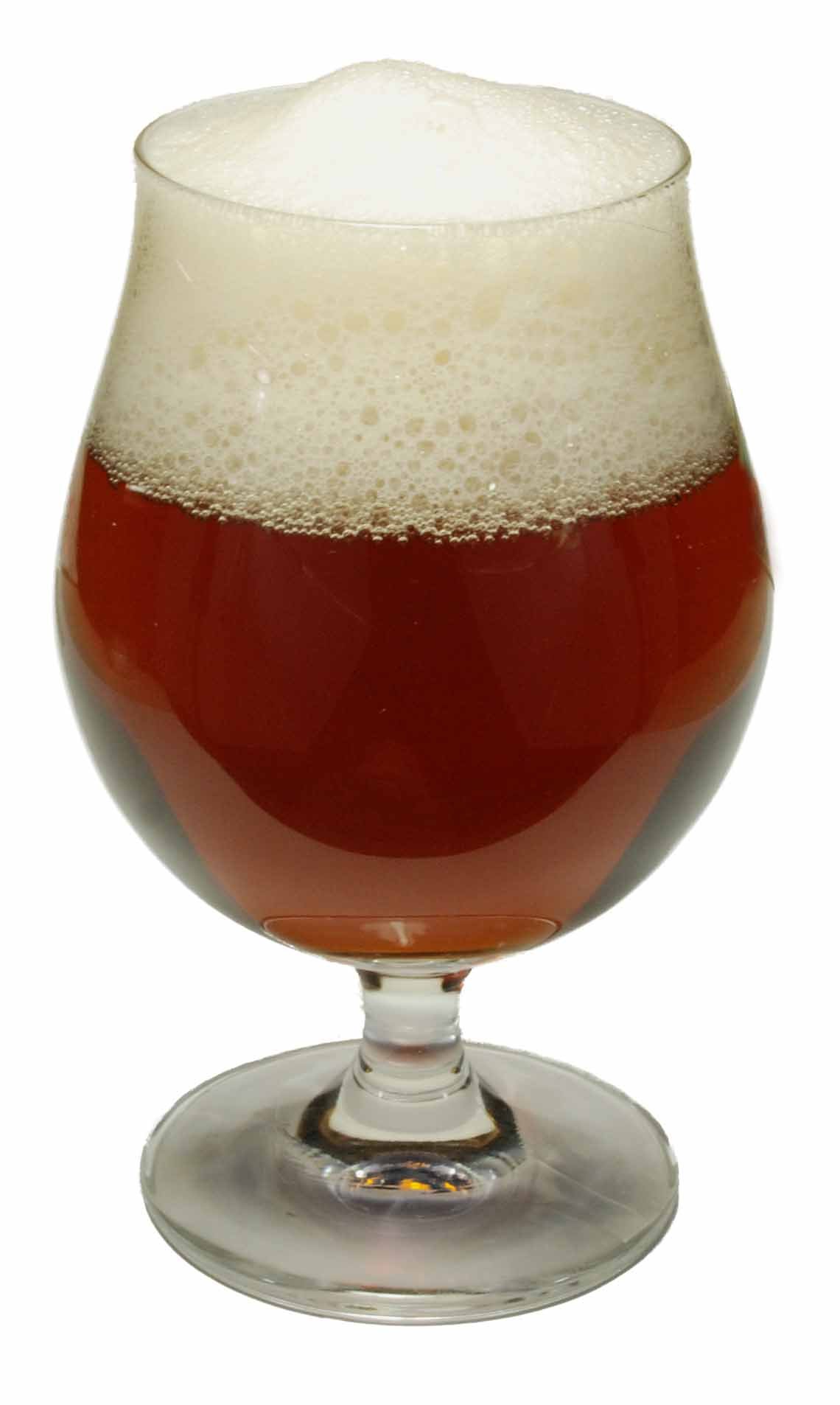 Fat, Drunk & Stupid Ale Beer Making Extract Kit - Home Brewing Supplies for Craft Beer Enthusiasts | Perfect for Parties, Gifts & DIY Brewing Projects