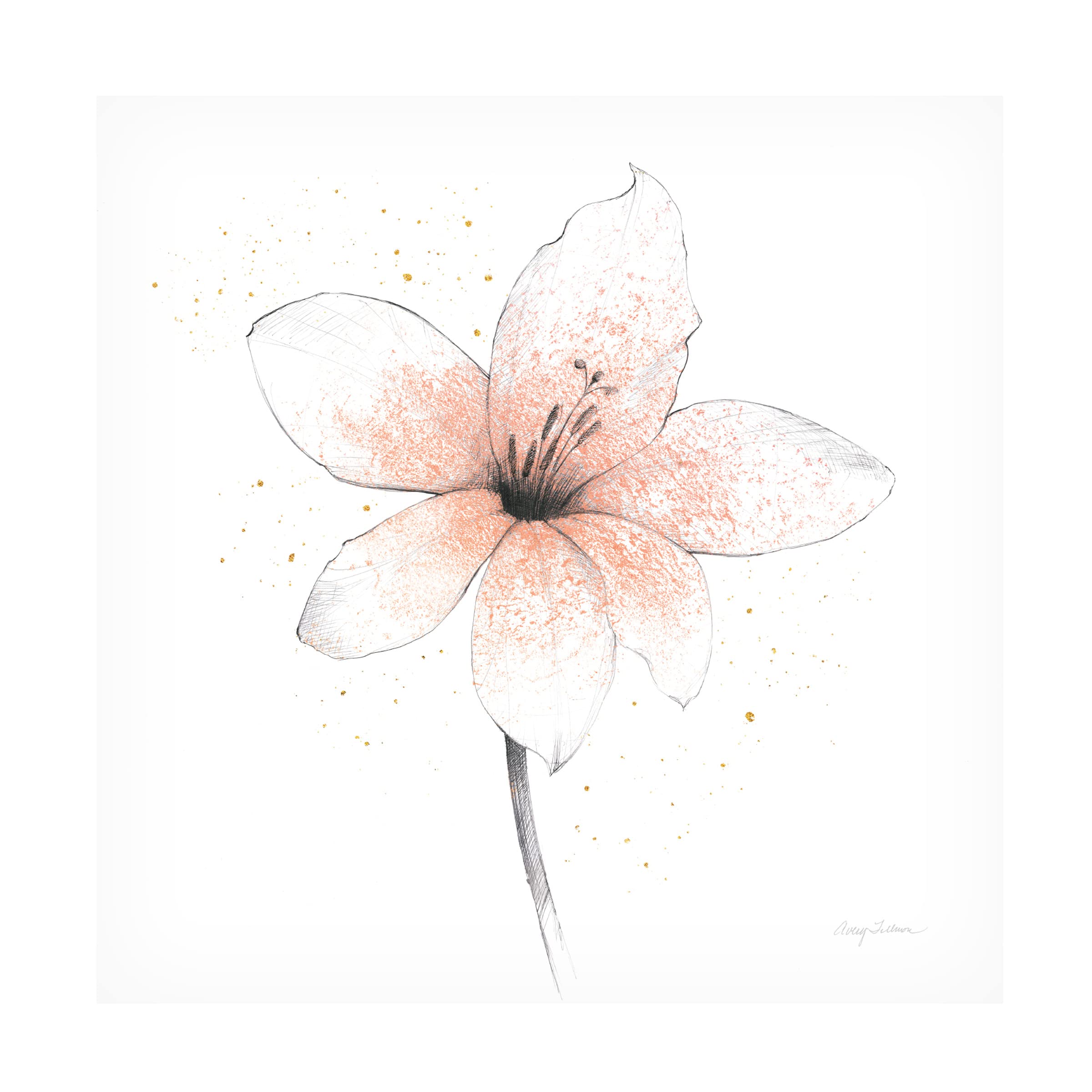 Avery Tillmon 'Coral Graphite Flower II' Canvas Wall Art Print - Modern Botanical Home Decor for Living Room, Bedroom & Office