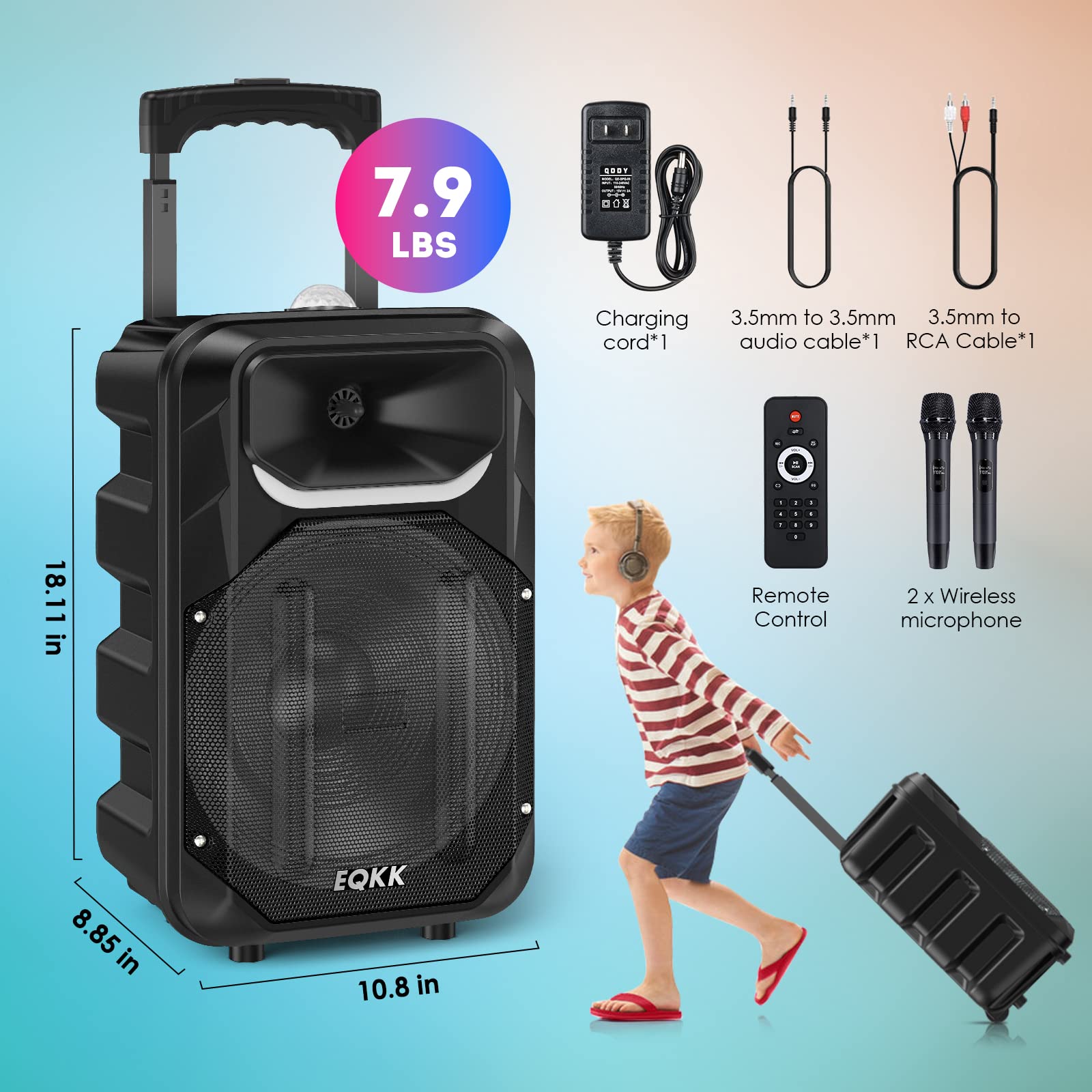 Portable Bluetooth Karaoke Machine with 2 Wireless Microphones & 10