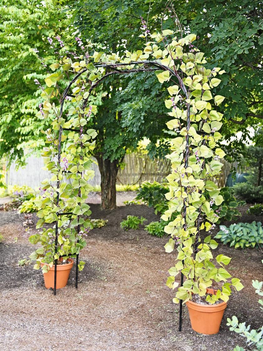 Sturdy Titan Arch Arbor Garden Trellis for Climbing Plants, Vines & Flowers - 96