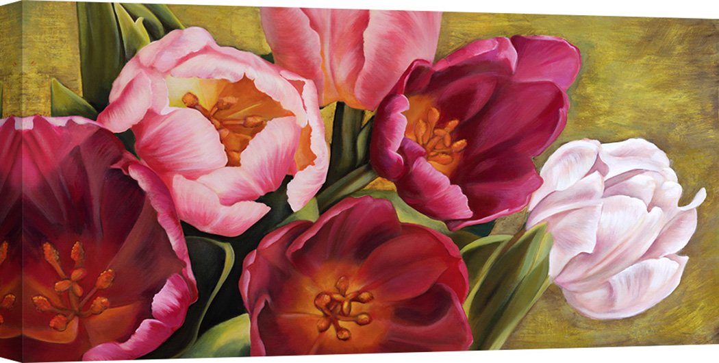 Jenny Thomlinson 'My Tulips' Floral Canvas Art Print - 39x20 Inches (100x50cm) - Stretched Framed Wall Decor for Living Room, Bedroom & Office