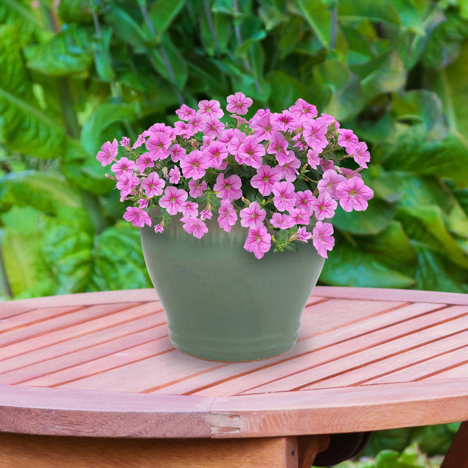 Sunnydaze Studio Round Glazed Ceramic Planter with Drainage Hole - Indoor Outdoor Flower Pot for Plants, Succulents, Herbs - Perfect for Patio, Garden, Balcony Decor