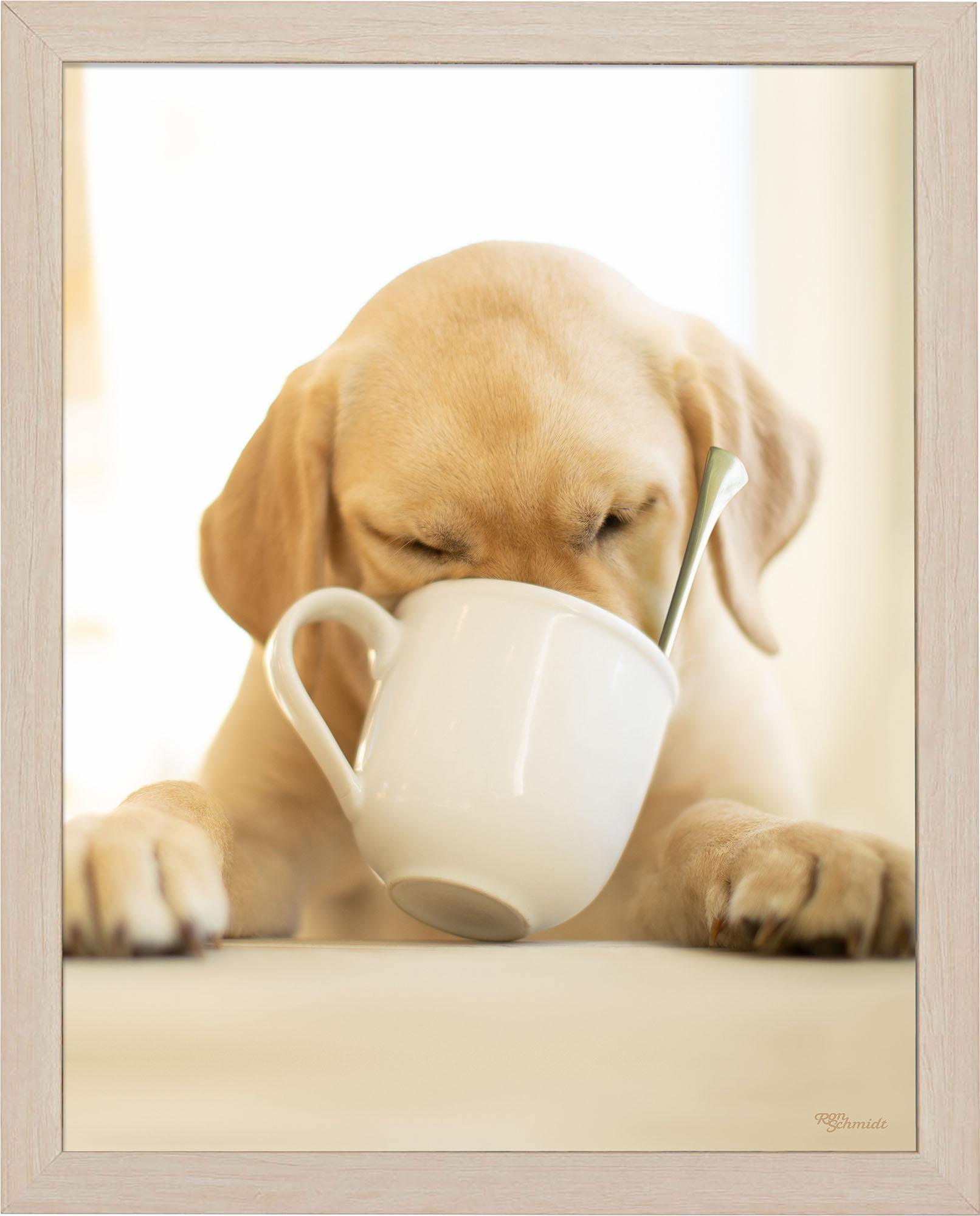 Premium Coffee Mug with Unique Art Prints - Perfect for Home, Office & Gifts | Ceramic Travel Mug for Coffee & Tea Lovers
