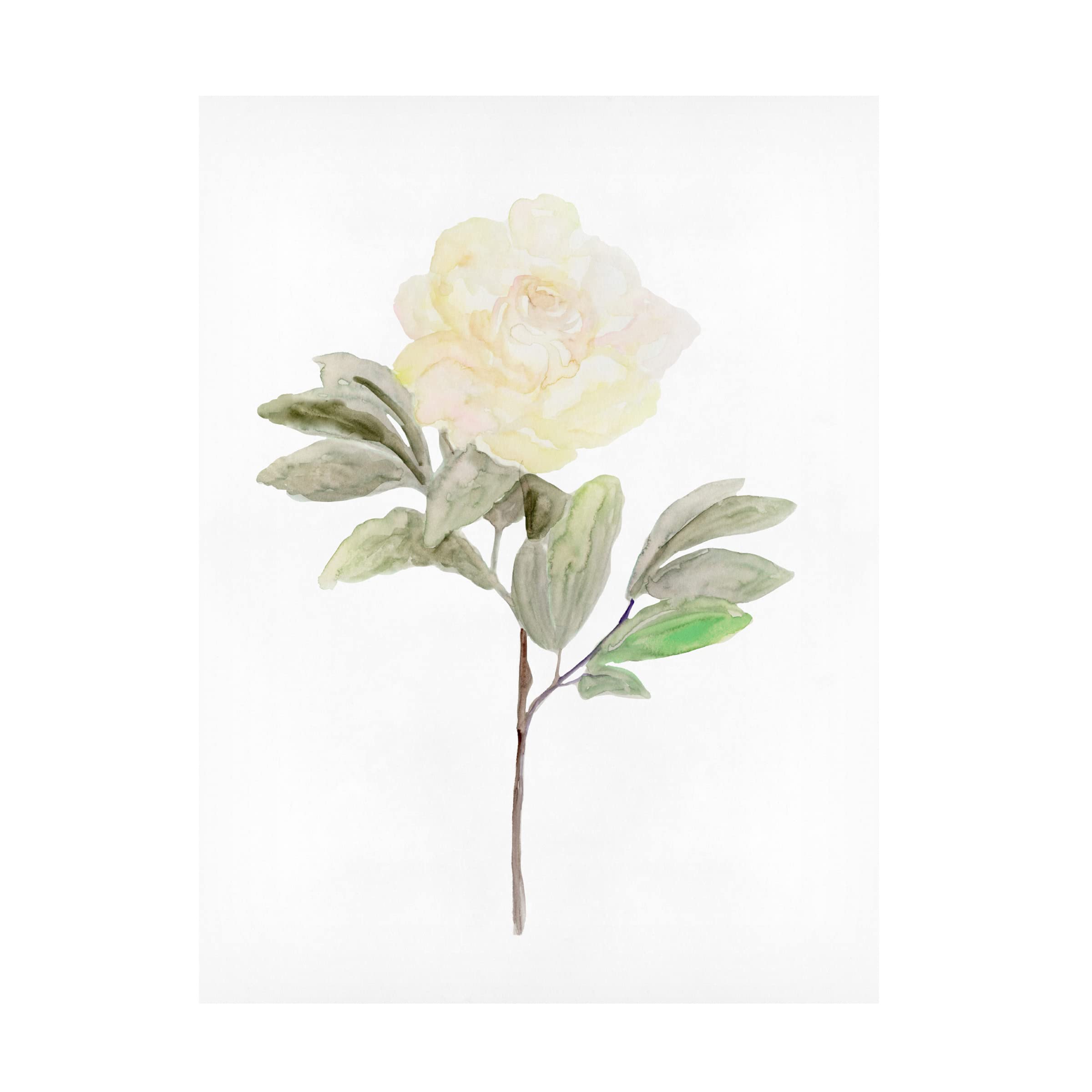 Stellar Design Studio 'White Blossom V' Floral Canvas Wall Art - Modern Botanical Home Decor for Living Room, Bedroom & Office