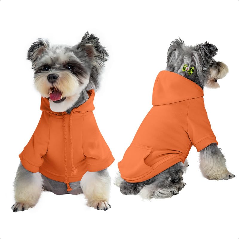 Vibrant Orange Dog Hoodie