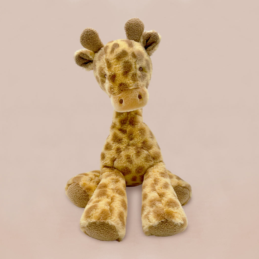 Best Wishes Giraffe Gift Set - Thoughtful Present for Birthday, Baby Shower & Holidays - Perfect for Kids, Newborns & Animal Lovers