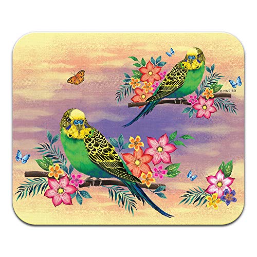 Budgie Parakeet Birds