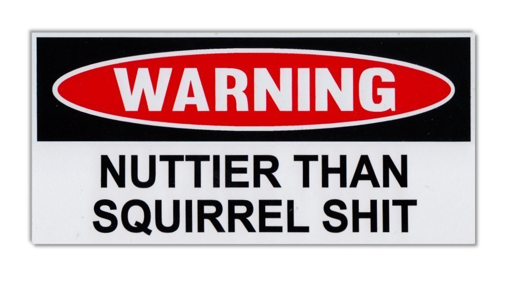 Funny Warning Bumper Sticker - Nuttier Than Squirrel - 6x3 Inch Decal for Cars & Trucks