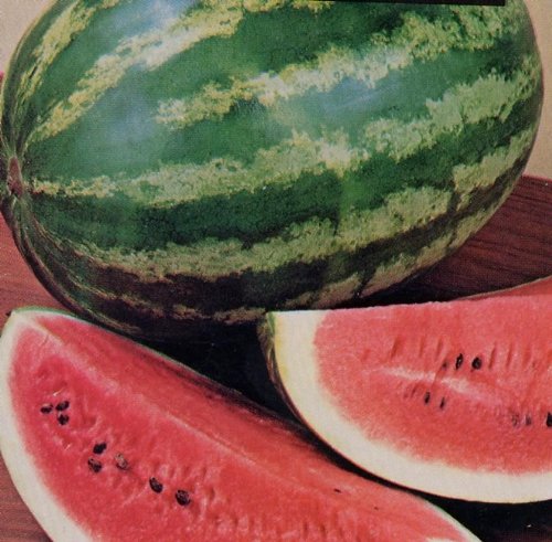 100 Crimson Sweet Watermelon Seeds (Citrullus lanatus) - Juicy, Sweet Homegrown Melons for Summer Gardens, Fresh Snacks & Fruit Salads