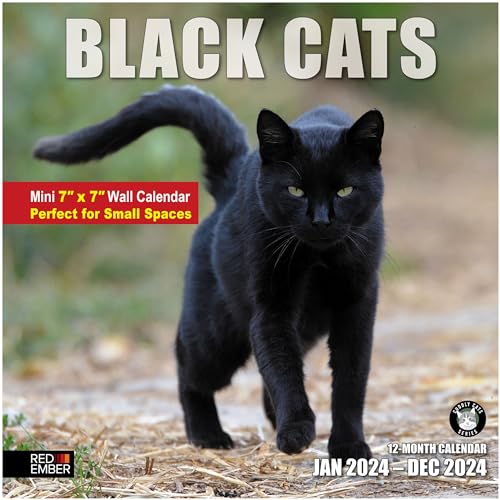 06A - Black Cats