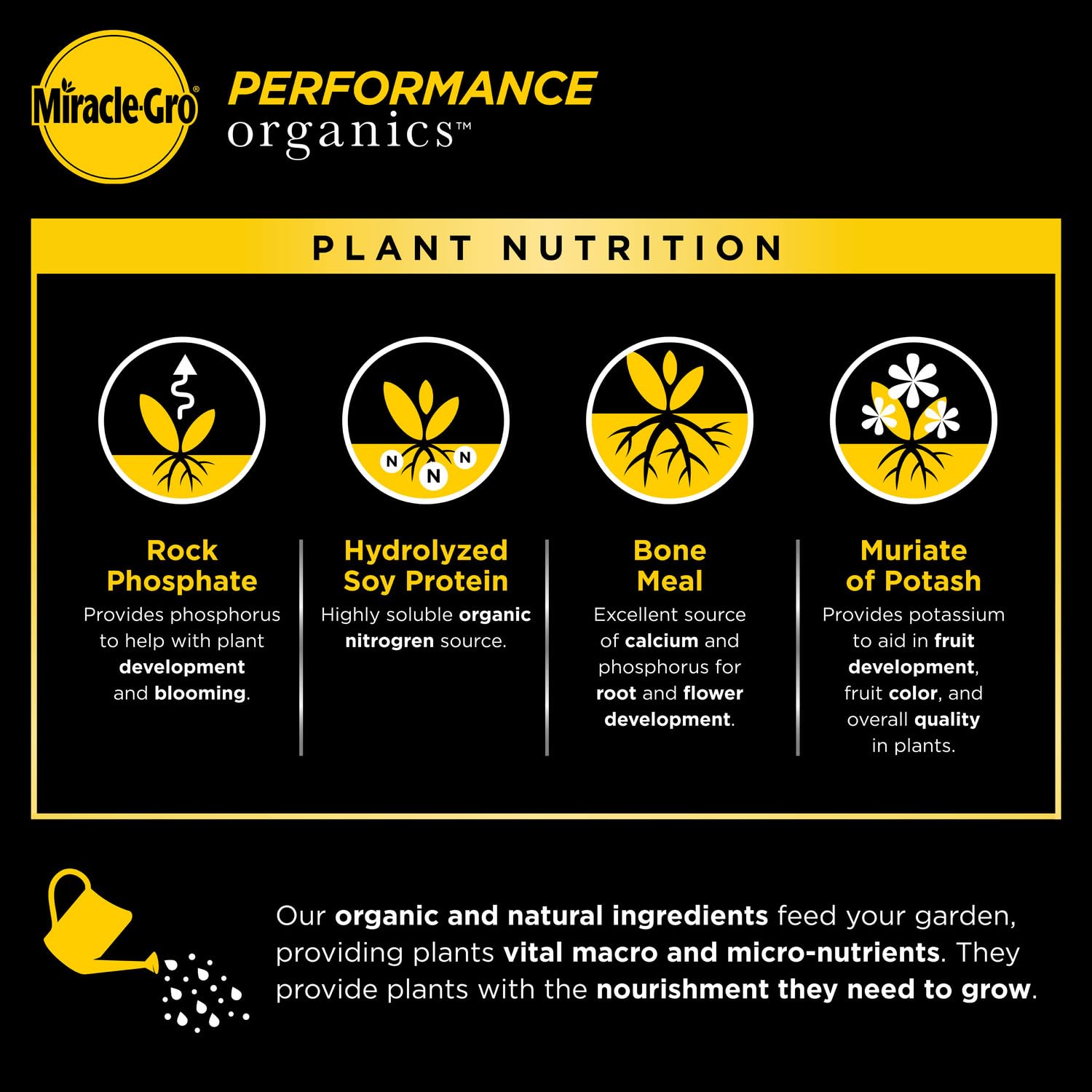 Miracle-Gro Performance Organics All Purpose Plant Food 1 lb - Natural Fertilizer for Vegetables, Flowers, Herbs - Organic Nutrients for Indoor & Outdoor Plants - Feeds 200 sq ft - Perfect for Gardens, Pots & Raised Beds