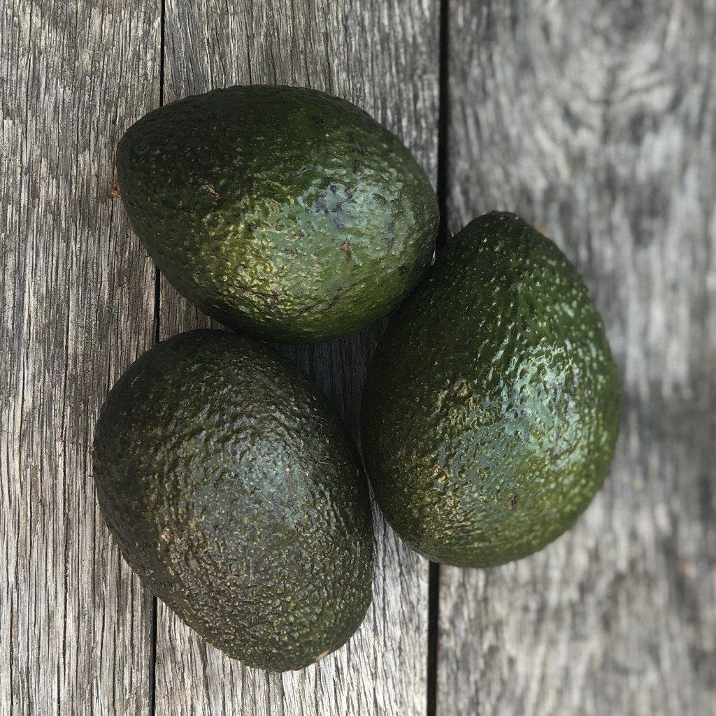 Fresh Organic Pinkerton Avocados - Premium Hass Avocado Alternative for Salads, Guacamole & Healthy Snacks - Perfect for Keto, Vegan & Paleo Diets