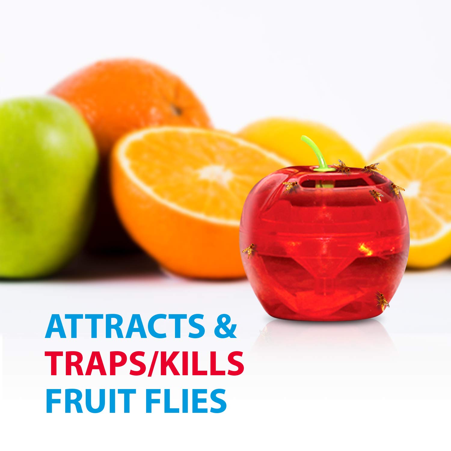Raid Indoor Fruit Fly Traps with 2 Lures & 2 Refills - Safe Food-Based Fly Catcher for Kitchen, Bathroom - Effective Gnat Killer for Home Use | Easy to Use & Non-Toxic Fruit Fly Control Solution