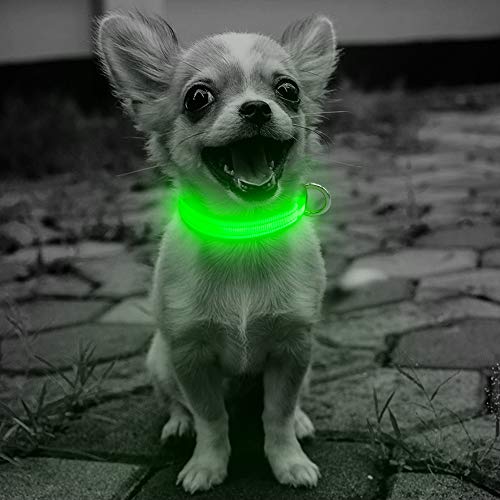 Neon Green