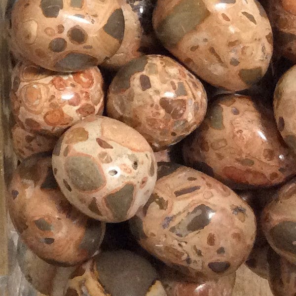 Leopardite Tumbled Pocket Stone - Natural Healing Crystal for Meditation, Stress Relief & Energy Balancing | Perfect for Yoga, Reiki & Home Decor