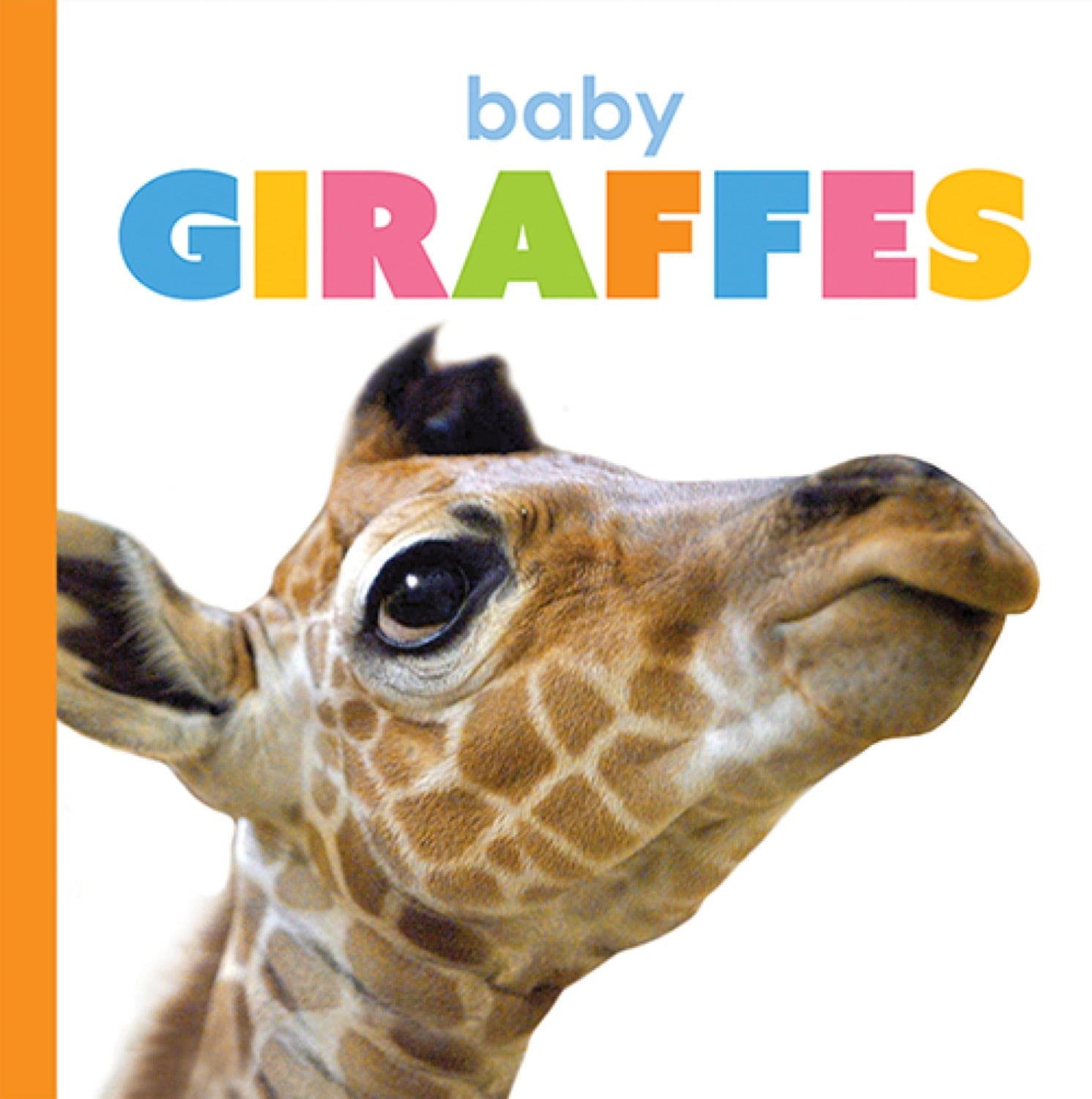 Baby Giraffes Book - ISBN 9781640262478 - Perfect for Kids' Bedtime Stories & Animal Lovers