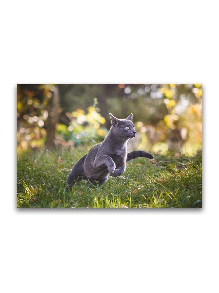 Russian Blue Cat Poster - High Quality Outdoor Wall Art for Cat Lovers - Perfect for Living Room, Bedroom & Office Decor
