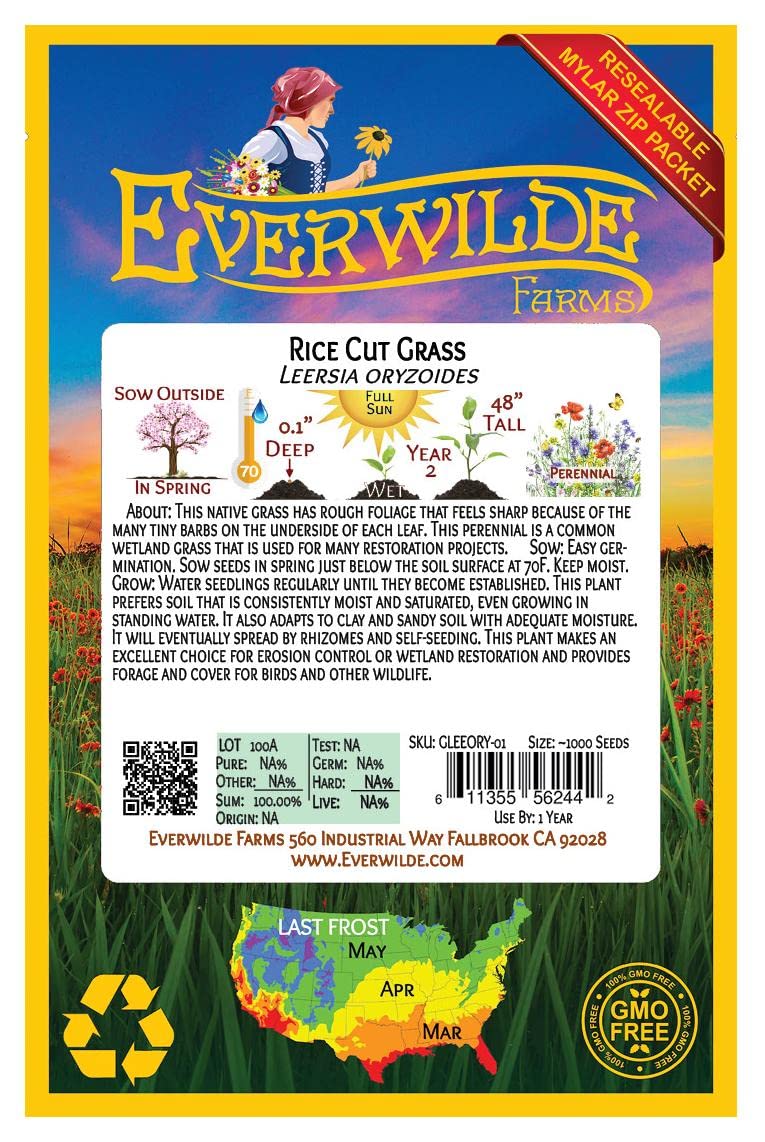 Everwilde Farms - 1000 Rice Cut Grass Native Grass Seeds (Echinochloa oryzoides) - Gold Vault Seed Packet for Landscaping, Erosion Control & Wildlife Habitats