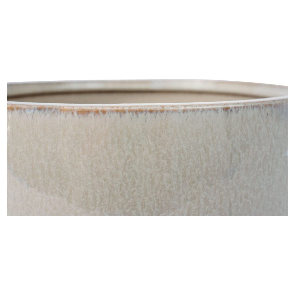 Cyan Design 11772 Elevated Bowl - Shellish Grey - Medium Size - Modern Home Decor for Dining Table, Kitchen Counter, or Living Room Display