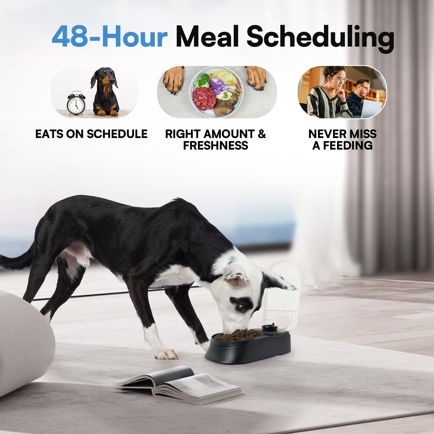 PAWISE Automatic Pet Feeder for Dogs and Cats - 1.5 Cup Smart Food Dispenser with 48-Hour Timer - Perfect for Travel, Workdays & Busy Pet Owners