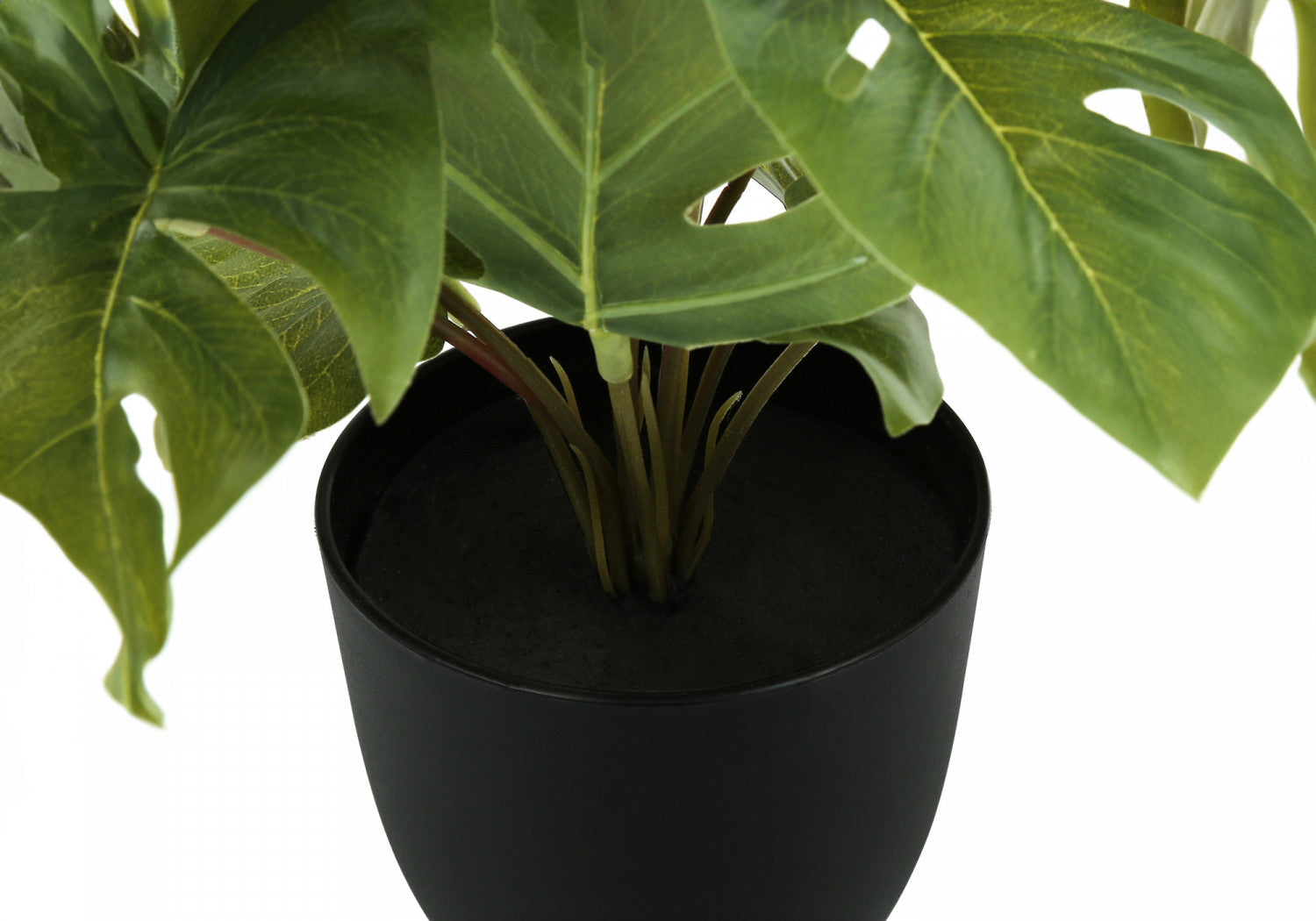 13 Monstera and Calathea Plants Set with 4 Black Pots - Indoor Houseplants for Home & Office Decor - Perfect for Living Room, Bedroom, or Workspace Greenery