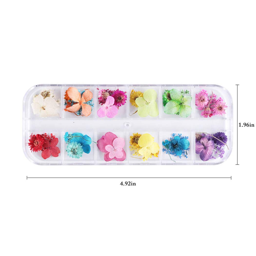 Dorakitten 1 Box Creative Dried Flower Nail Art Decorations - Floral Nail Supplies Kit for DIY Manicure, Nail Salon & Home Nail Design