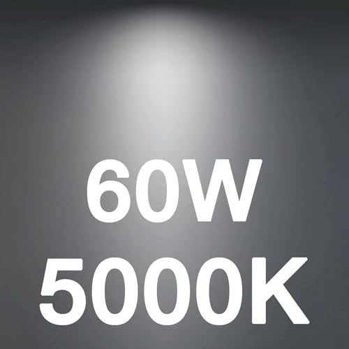 60w Daylight