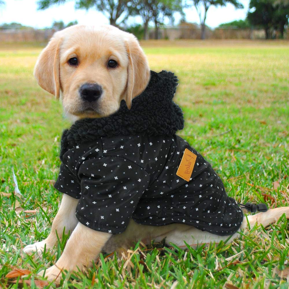 Tineer Pet Puppy Little Star Coat - Warm Winter Dog Sweater for Small Dogs & Cats (Size M, Black) - Perfect for Cold Weather Walks & Indoor Comfort