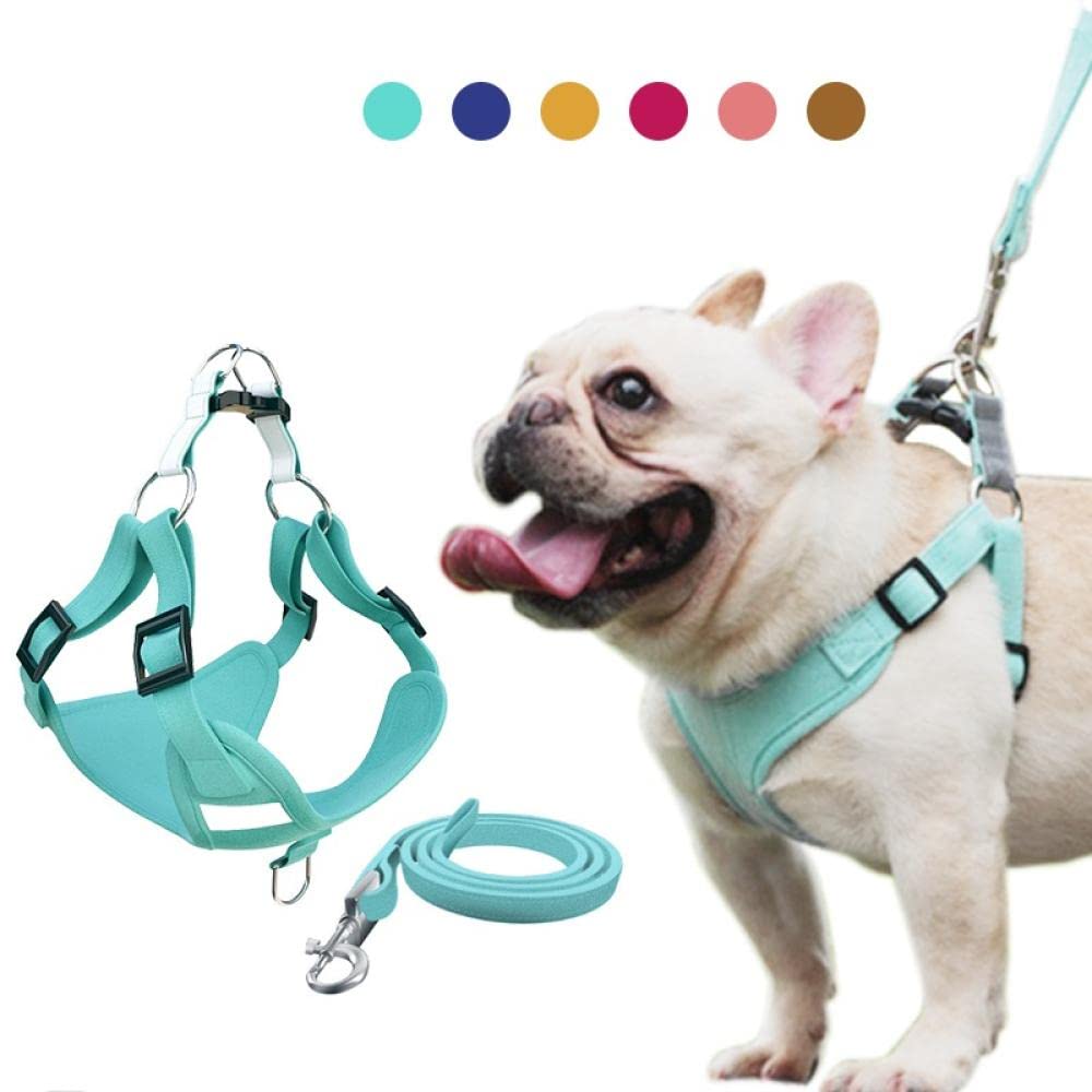 Reflective Dog Harness and Leash Set - Adjustable Pet Vest for Small & Medium Dogs - Red Safety Harness for Puppies XXS - Perfect for Night Walks, Jogging & Outdoor Adventures