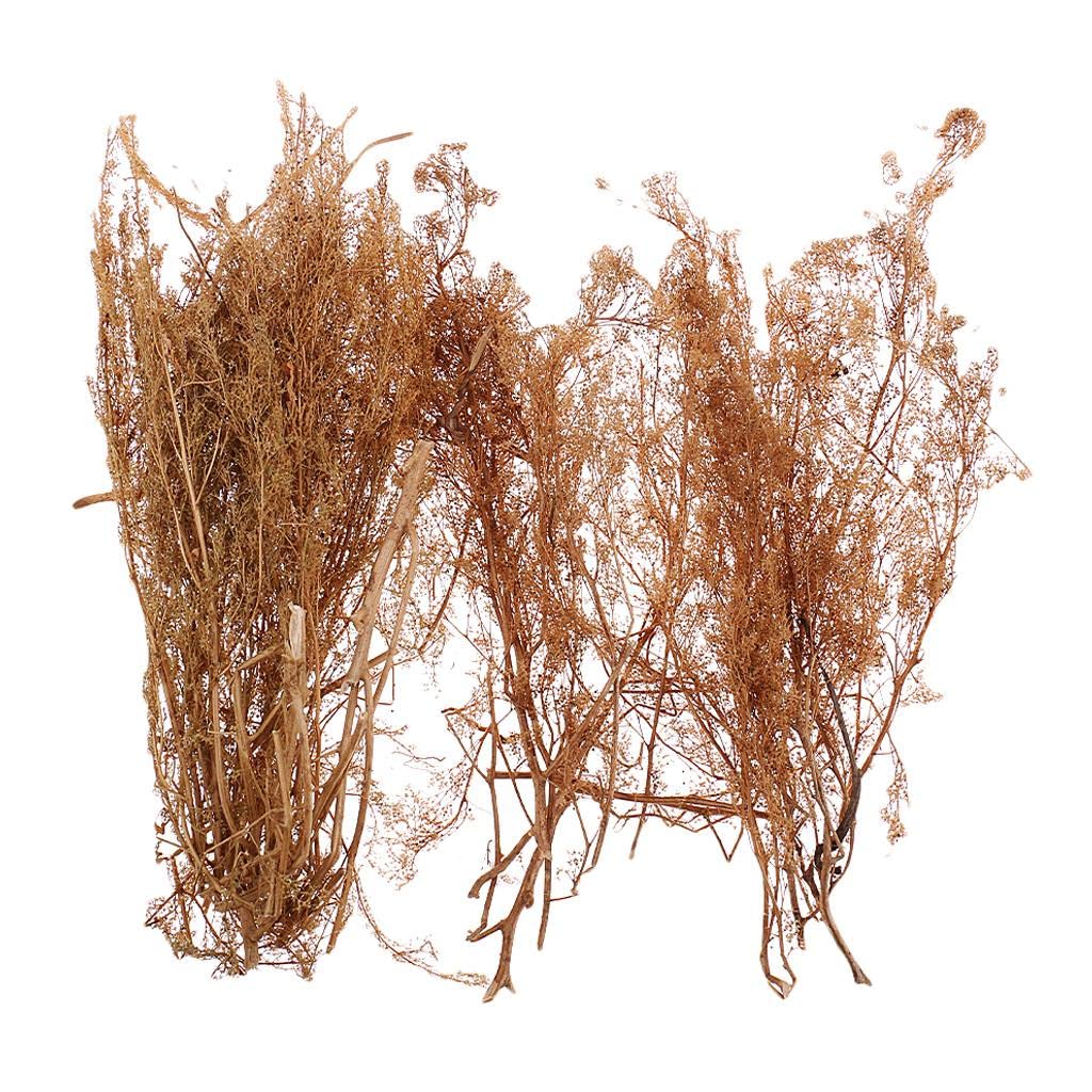 Milageto Quinoa Design Tree Model for Landscape Building - Miniature Artificial Trees for Diorama, Model Train Scenery & Architectural Displays - Perfect for DIY Crafts, Home Decor and School Projects